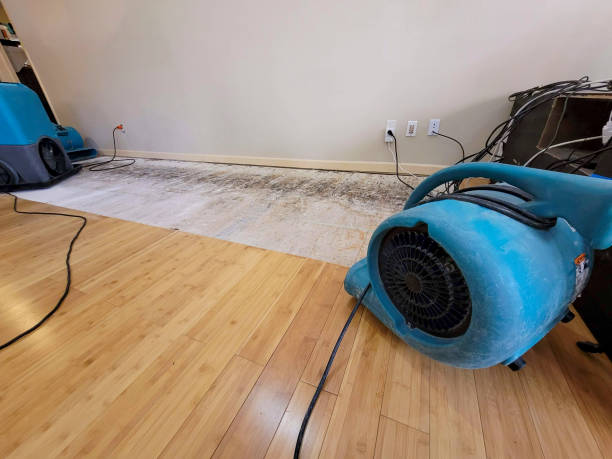 Professional Sewage Cleanup technician working in Old Westbury, NY